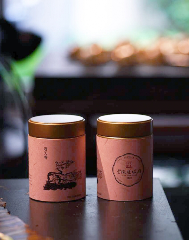 透天香 Tou Tian Xiang 4