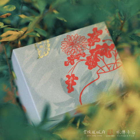 2024 綺羅香 Qi Luo Xiang 2