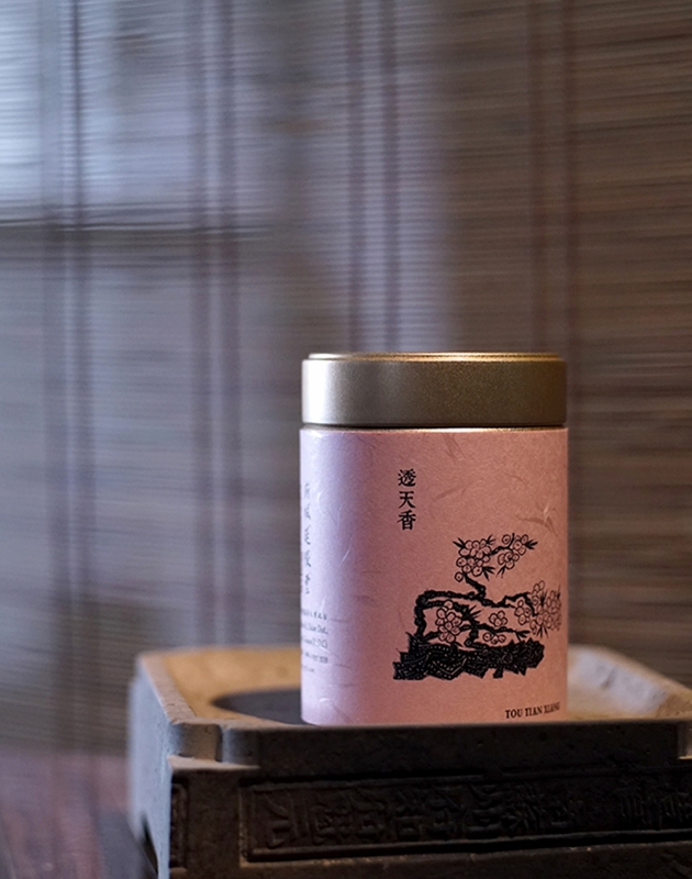 透天香 Tou Tian Xiang 2