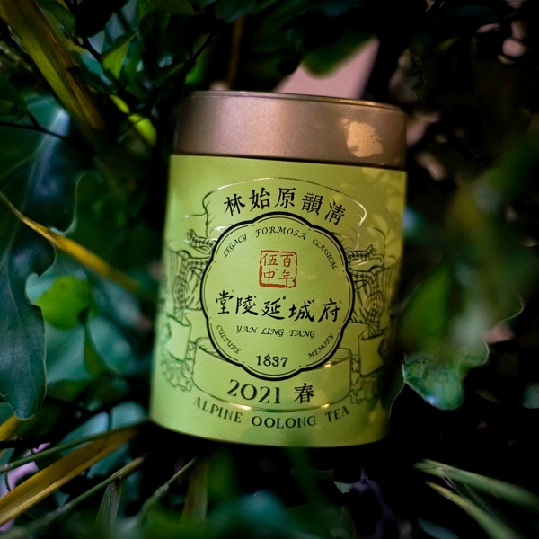 清韻原始林烏龍 Alpine Primeval Forest Oolong