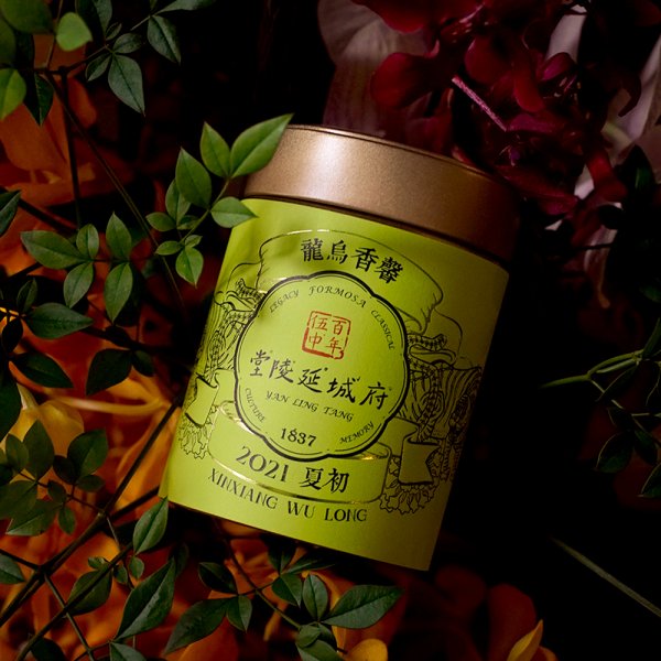 2021夏初 馨香烏龍 Xin Xiang Oolong Tea