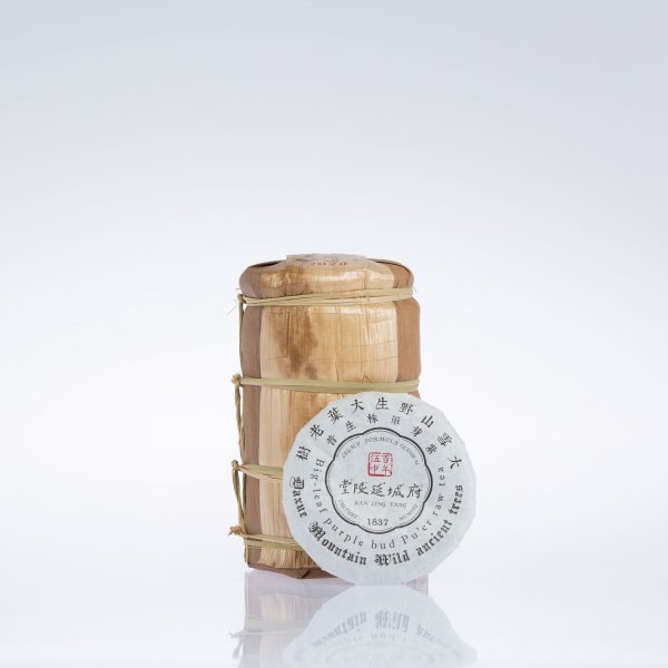 2020/2021/大雪山野生大葉老樹紫芽單株生普